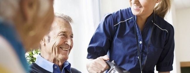 Téléchargez gratuitement notre plan de menus variés et réalisés à partir d’ingrédients de saison 